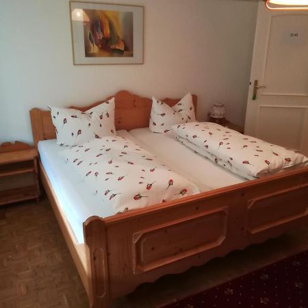 Apartment Froschkoenig Gladenbach Εξωτερικό φωτογραφία