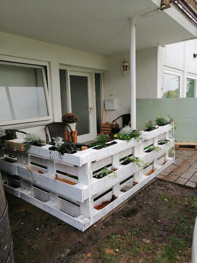 Apartment Froschkoenig Gladenbach Εξωτερικό φωτογραφία