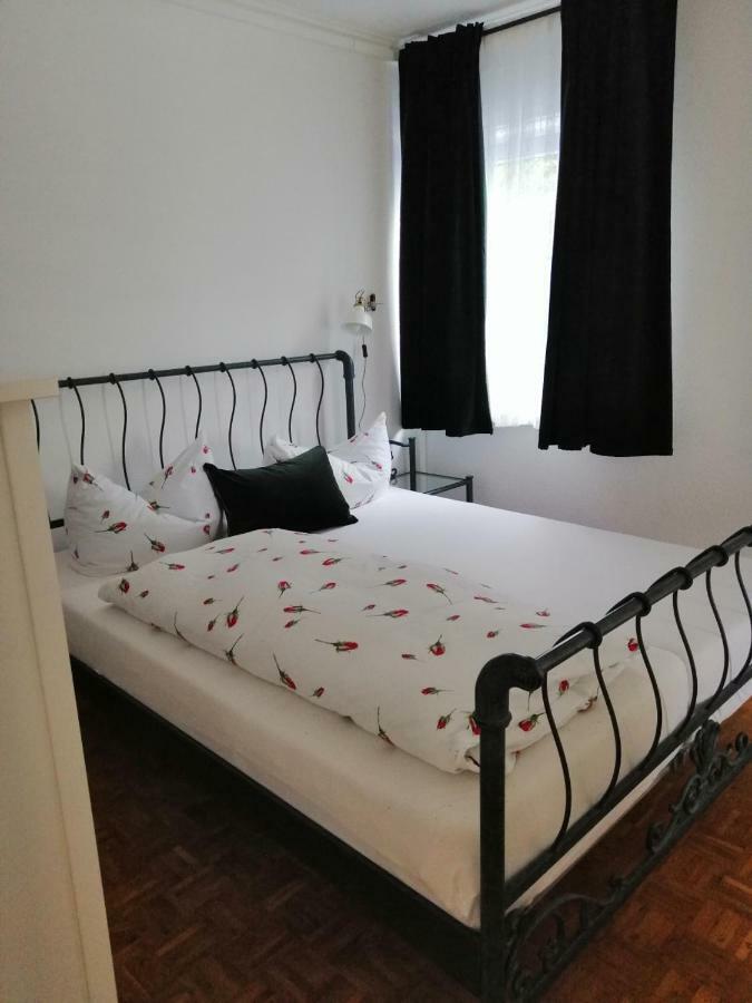 Apartment Froschkoenig Gladenbach Εξωτερικό φωτογραφία